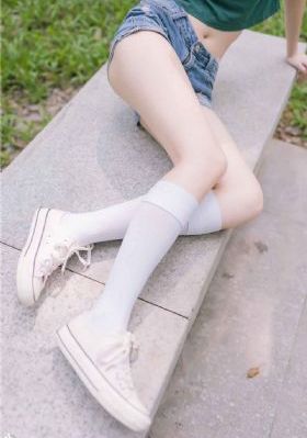 隶属于伞菌目伞菌亚门_高清影视全集在线观看播放