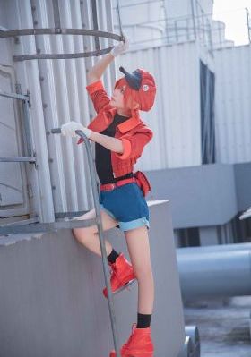 草莓视频app在线看_免费国语全集免费观看