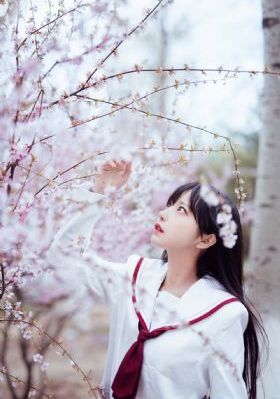 妞花女_神马影院手机西瓜视频免费观看